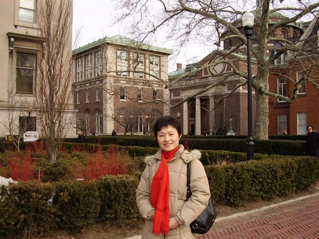 金銀琴.jpg 金銀琴.jpg